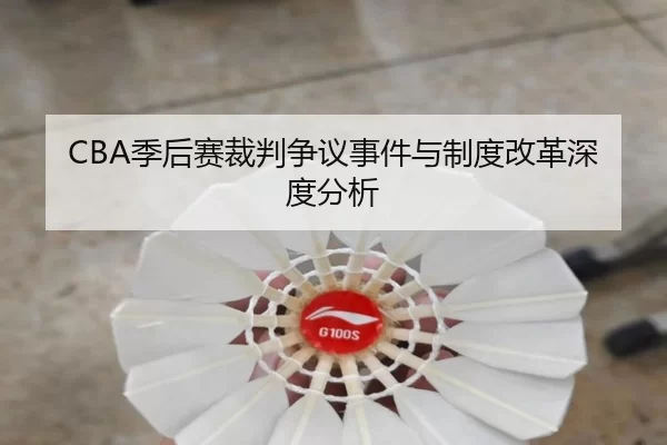 CBA季后赛裁判争议事件与制度改革深度分析