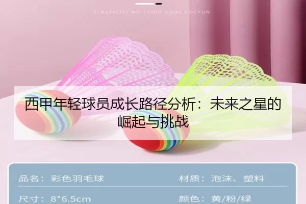 西甲年轻球员成长路径分析：未来之星的崛起与挑战